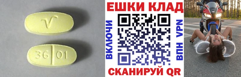 Купить закладки Старица ЭКСТАЗИ Philipp Plein