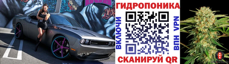 Купить Старица Конопля индика